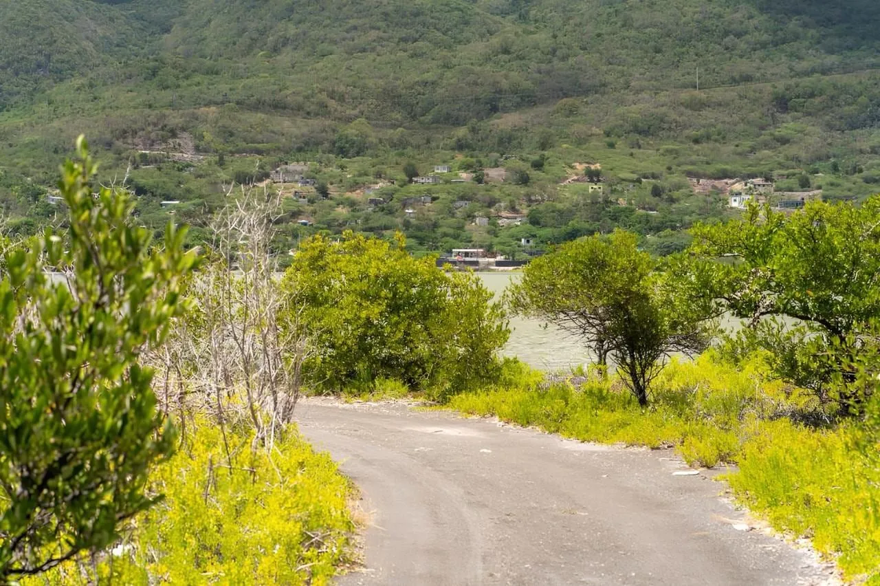 Green hills and a coastal road in St. Thomas, Jamaica